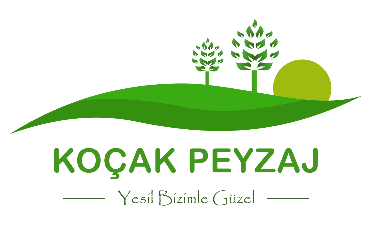 Toprak düzenleme ve gübreleme